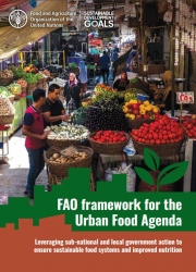 Cadre d’action de la FAO pour l’alimentation en zone urbaine